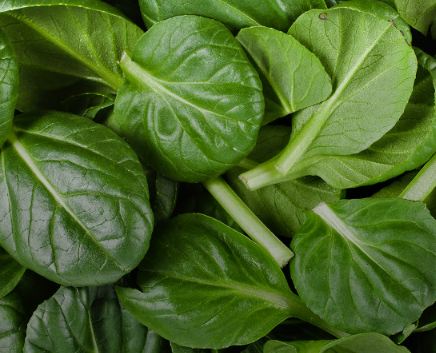 بالفيديو: السبانخ أقوى مما تعتقدون