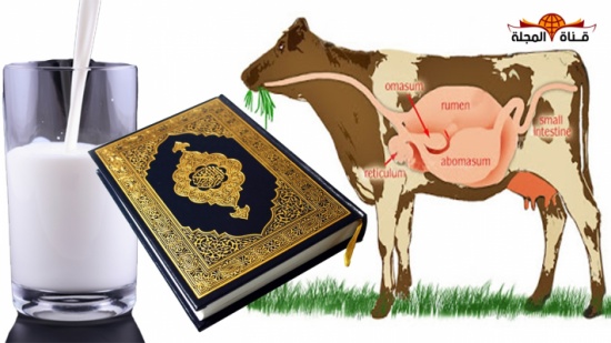 معجزة تكون اللبن في الأبقار ذكرها القرآن الكريم ووقف العلم أمامها حائراً! “شاهد” معجزة تكون اللبن في الأبقار ذكرها القرآن الكريم ووقف العلم أمامها حائراً! “شاهد”