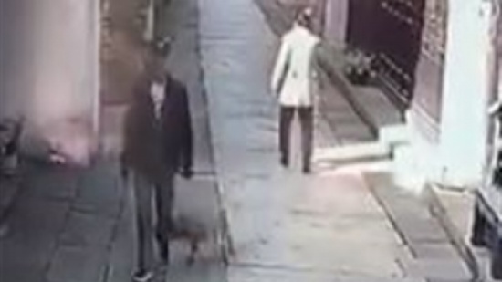 كلب مسعور ينهش 20 شخصا أثناء سيرهم بالشارع كلب مسعور ينهش 20 شخصا أثناء سيرهم بالشارع