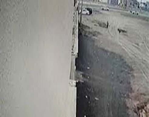 لحظة هجوم كلاب شرسة على طفل بالسعودية (فيديو) لحظة هجوم كلاب شرسة على طفل بالسعودية (فيديو)