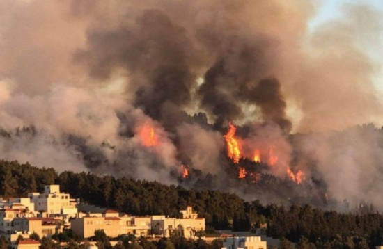 الملك شارك بإخماد الحريق الذي اندلع بمنطقة الكمالية الملك شارك بإخماد الحريق الذي اندلع بمنطقة الكمالية