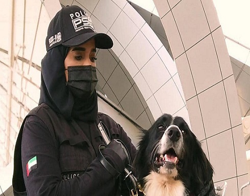 الإمارات تنجح في كشف كورونا.. بالكلاب البوليسية الإمارات تنجح في كشف كورونا.. بالكلاب البوليسية
