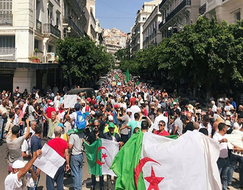 الجزائر.. وزير العدل يعلن عن آليات الترشح للانتخابات الجزائر.. وزير العدل يعلن عن آليات الترشح للانتخابات