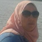 تركيا… بين مطرقة المعارضة وسندان الحكومة تركيا… بين مطرقة المعارضة وسندان الحكومة