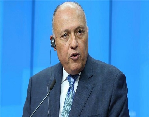 وزيرا خارجية مصر واليابان يبحثان إعمار فلسطين وإحياء عملية السلام وزيرا خارجية مصر واليابان يبحثان إعمار فلسطين وإحياء عملية السلام