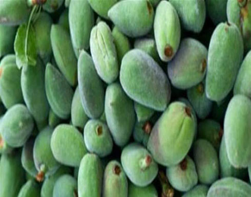 لمحبي اللوز الأخضر.. هل تعرفون هذه المعلومات عنه؟ لمحبي اللوز الأخضر.. هل تعرفون هذه المعلومات عنه؟