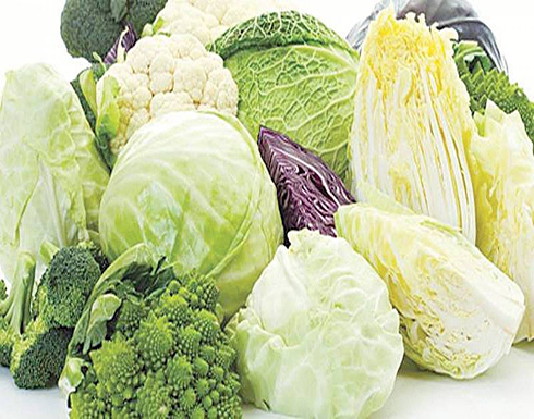 طرق حفظ الخضروات الورقية في الثلاجة طرق حفظ الخضروات الورقية في الثلاجة