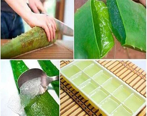 فوائد الصبار للأكل والتجميل فوائد الصبار للأكل والتجميل