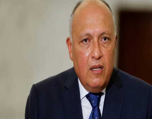 شكري يبحث مع بوريل عددا من القضايا الإقليمية والدولية شكري يبحث مع بوريل عددا من القضايا الإقليمية والدولية