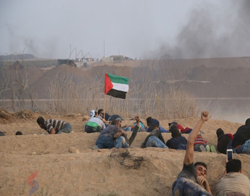 غزة تستعد لجمعة "التضامن الدولي مع الشعب الفلسطيني " غزة تستعد لجمعة "التضامن الدولي مع الشعب الفلسطيني "