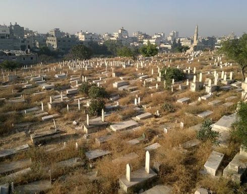 بالصور.. مقبرة غريبة سكانها ليسوا بشر بالصور.. مقبرة غريبة سكانها ليسوا بشر