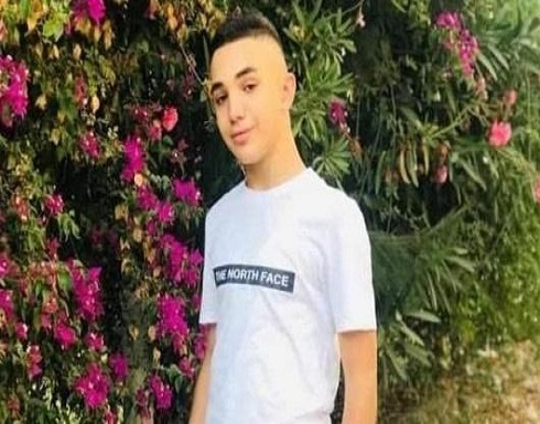 الجامعة العربية تدعو للتدخل لإنقاذ حياة الأسيرين الطفل نخلة وأبو حميد الجامعة العربية تدعو للتدخل لإنقاذ حياة الأسيرين الطفل نخلة وأبو حميد