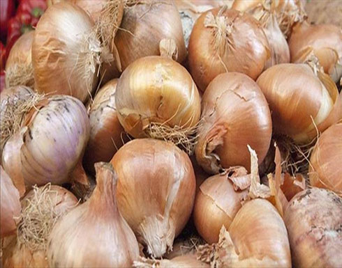 خضروات الثوم والبصل والكراث تكافح سرطان القولون والمستقيم خضروات الثوم والبصل والكراث تكافح سرطان القولون والمستقيم