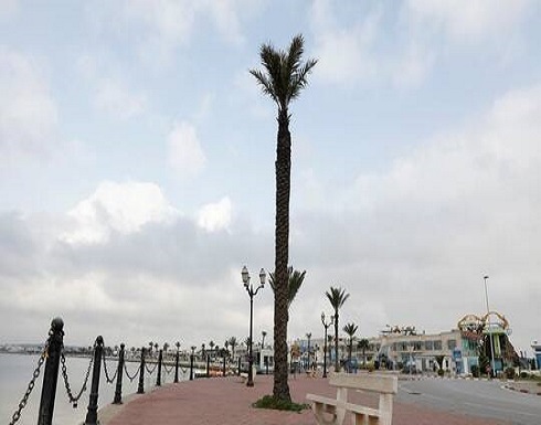تونس.. تسجيل 27 إصابة جديدة بكورونا وعدد المصابين يرتفع إلى 623 تونس.. تسجيل 27 إصابة جديدة بكورونا وعدد المصابين يرتفع إلى 623