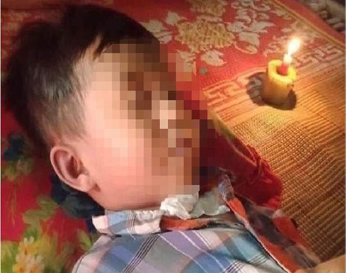 "الدبابير القاتلة".. قتلت طفلاً وأصابت جدته بجروح خطيرة في كمبوديا "الدبابير القاتلة".. قتلت طفلاً وأصابت جدته بجروح خطيرة في كمبوديا