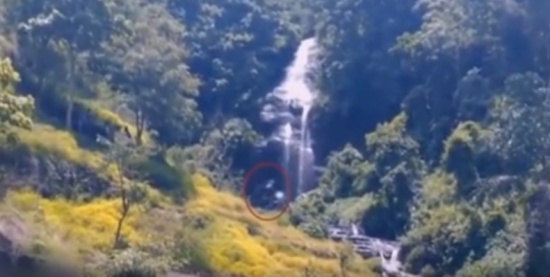 مخلوقات غريبة ظهرت في غابات أندونسيا..شبح أم حيوان غامض؟ “شاهد” مخلوقات غريبة ظهرت في غابات أندونسيا..شبح أم حيوان غامض؟ “شاهد”