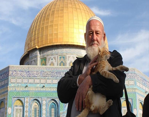 "أبو هريرات".. رحيل هادئ يُؤلم القطط والطيور في باحات الأقصى "أبو هريرات".. رحيل هادئ يُؤلم القطط والطيور في باحات الأقصى