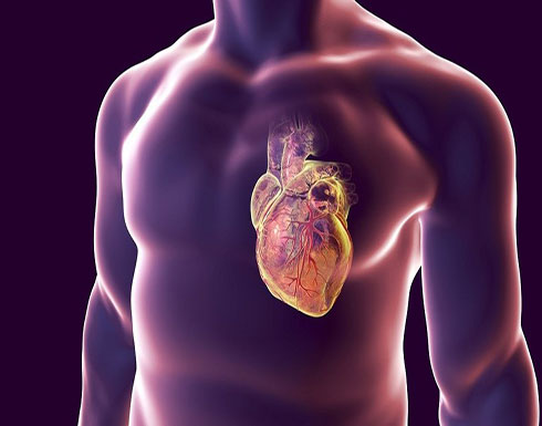 خبراء الصحة.. تخطي هذه الوجبة يعرض حياتنا للخطر خبراء الصحة.. تخطي هذه الوجبة يعرض حياتنا للخطر