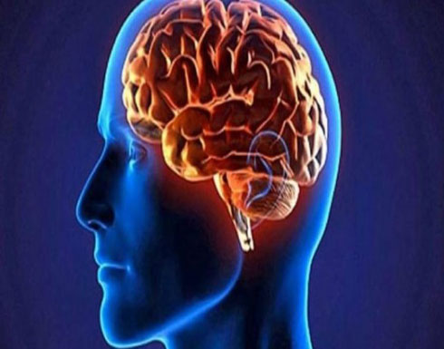 هذه المهنة تسبّب تقلُّصاً في حجم الدماغ وتؤثر سلباً في عملياته الفسيولوجية هذه المهنة تسبّب تقلُّصاً في حجم الدماغ وتؤثر سلباً في عملياته الفسيولوجية