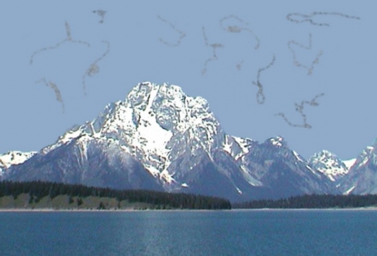 ما سبب رؤية “عوائم العين”.. وما مدى خطورتها؟