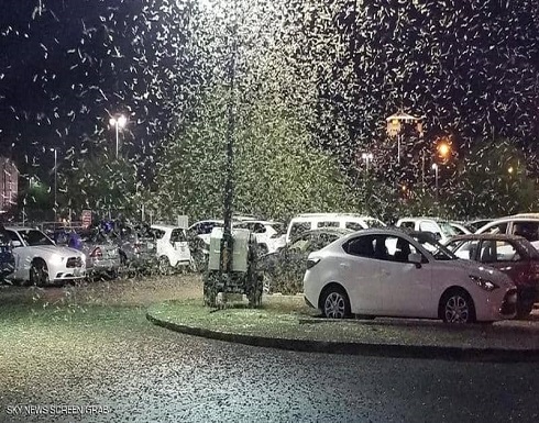 بالفيديو.. أسراب الجراد تغزو لاس فيغاس بالفيديو.. أسراب الجراد تغزو لاس فيغاس