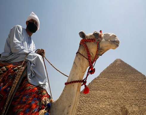 مصر.. 1412 إصابة و81 وفاة جديدة بكورونا مصر.. 1412 إصابة و81 وفاة جديدة بكورونا