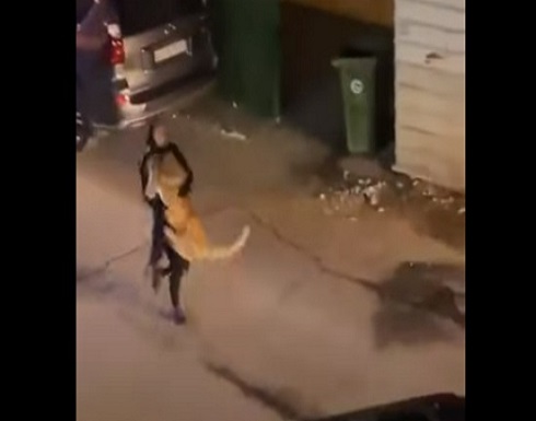 أسد يرعب سكان منطقة بالكويت.. وفتاة تقبض عليه أسد يرعب سكان منطقة بالكويت.. وفتاة تقبض عليه