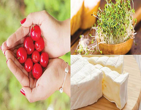13 نوعاً من الأطعمة.. الأكثر خطورة في العالم منها الأخطبوط الحي 13 نوعاً من الأطعمة.. الأكثر خطورة في العالم منها الأخطبوط الحي