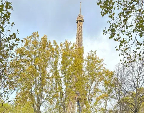 طرد 3 بريطانيين من فرنسا لتصويرهم فيلم إباحي داخل سيارة قرب برج إيفل طرد 3 بريطانيين من فرنسا لتصويرهم فيلم إباحي داخل سيارة قرب برج إيفل