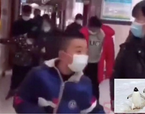 شاهد : الصين تعلق على ظهور أشخاص يسيرون كالبطريق بعد إجرائهم المسحة الشرجية شاهد : الصين تعلق على ظهور أشخاص يسيرون كالبطريق بعد إجرائهم المسحة الشرجية