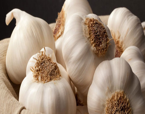 فص من الثوم يوميًا يحميك من مرض خطير فص من الثوم يوميًا يحميك من مرض خطير