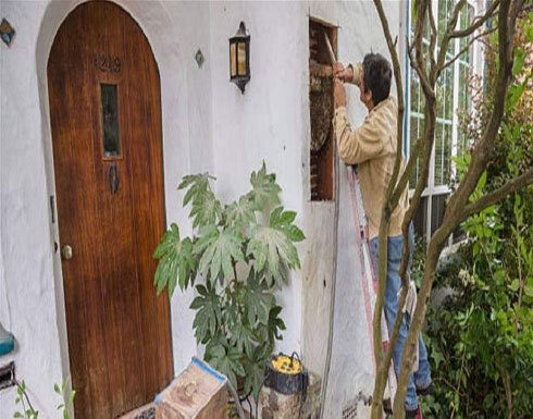 زوجان عاشا مع 80 ألف نحلة في "غرفة نوم واحدة! زوجان عاشا مع 80 ألف نحلة في "غرفة نوم واحدة!
