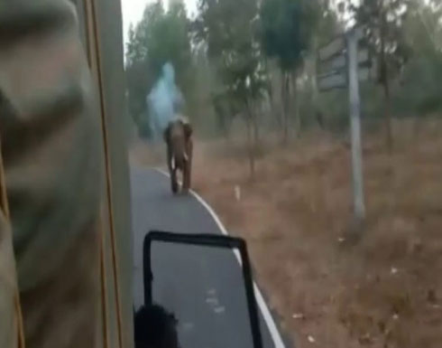 شاهد: كيف أطفأ فيل غضبَه في شاحنة وركّابها في الهند شاهد: كيف أطفأ فيل غضبَه في شاحنة وركّابها في الهند