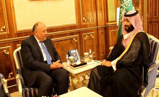 ولي العهد السعودي يبحث مع شكري تدخلات إيران في المنطقة ولي العهد السعودي يبحث مع شكري تدخلات إيران في المنطقة