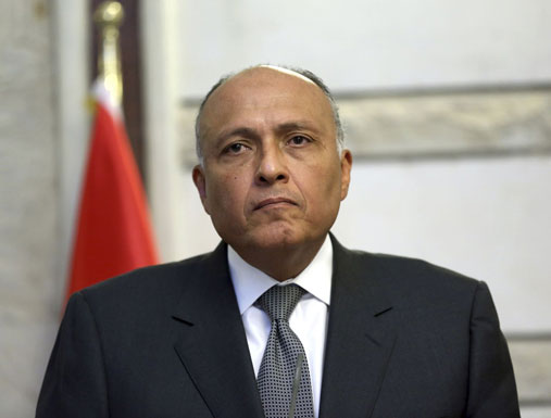مصر: قد نلجأ لمجلس الأمن الدولي بشأن سد النهضة مصر: قد نلجأ لمجلس الأمن الدولي بشأن سد النهضة
