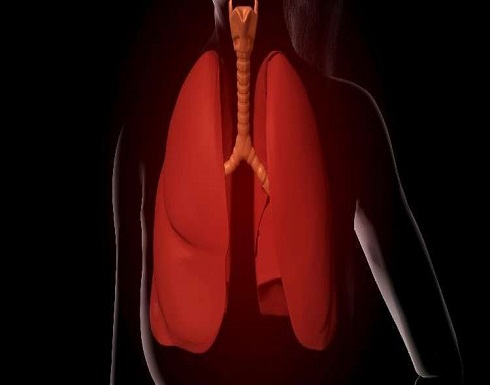 رئة الإنسان تخفي خلايا تحفز مرضا خطيرا