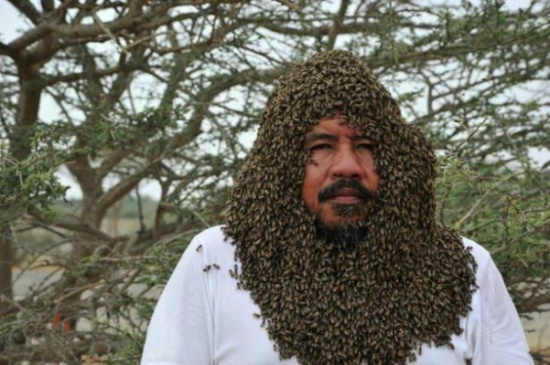 نحال" سعودي يجمع أكثر من 20 ألف نحلة حول وجهه نحال" سعودي يجمع أكثر من 20 ألف نحلة حول وجهه