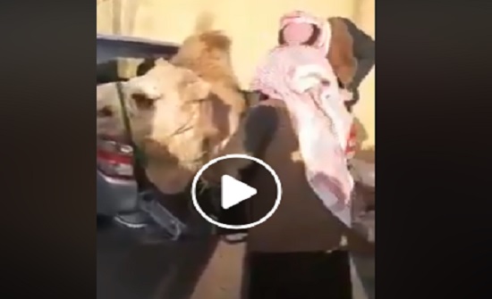 بالفيديو : أردني ينحر جملا للترحيب بالامير تميم بالفيديو : أردني ينحر جملا للترحيب بالامير تميم