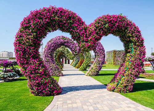 أكبر حديقة زهور بالعالم  ملونة بـ45 مليون زهرة        (صور)