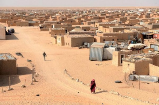 محادثات الصحراء الغربية بجنيف.. تأكيد على الحل السلمي محادثات الصحراء الغربية بجنيف.. تأكيد على الحل السلمي