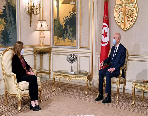 رئيس تونس: وحدة ليبيا ورفض التدخلات أسس الحل رئيس تونس: وحدة ليبيا ورفض التدخلات أسس الحل