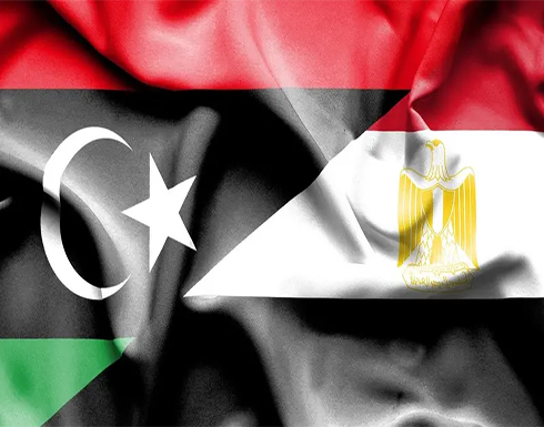 مصر تسعى لحل سياسي في ليبيا قبل نهاية العام مصر تسعى لحل سياسي في ليبيا قبل نهاية العام