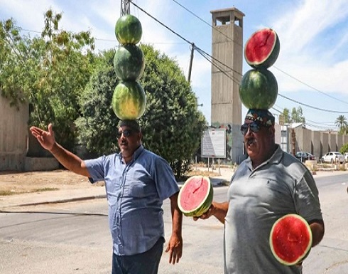 ” حرب البطيخ”.. عنوان معركة على الوجود بالنسبة للفلسطينيين في منطقة الأغوار- (صور) ” حرب البطيخ”.. عنوان معركة على الوجود بالنسبة للفلسطينيين في منطقة الأغوار- (صور)