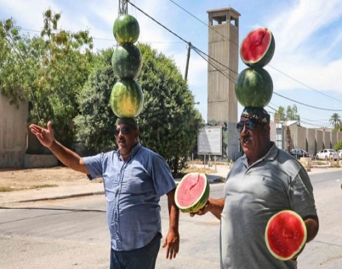 ” حرب البطيخ”.. عنوان معركة على الوجود بالنسبة للفلسطينيين في منطقة الأغوار- (صور)