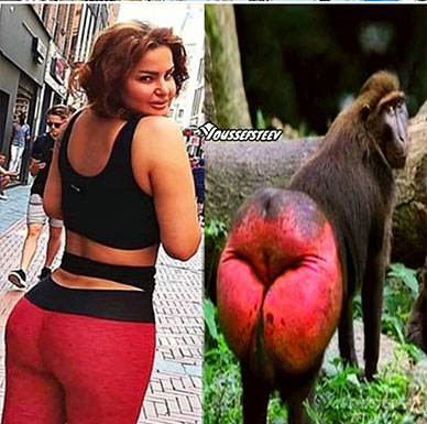 ناشطون يسخرون من صورة جريئة جدا لسما المصري (صورة) ناشطون يسخرون من صورة جريئة جدا لسما المصري (صورة)